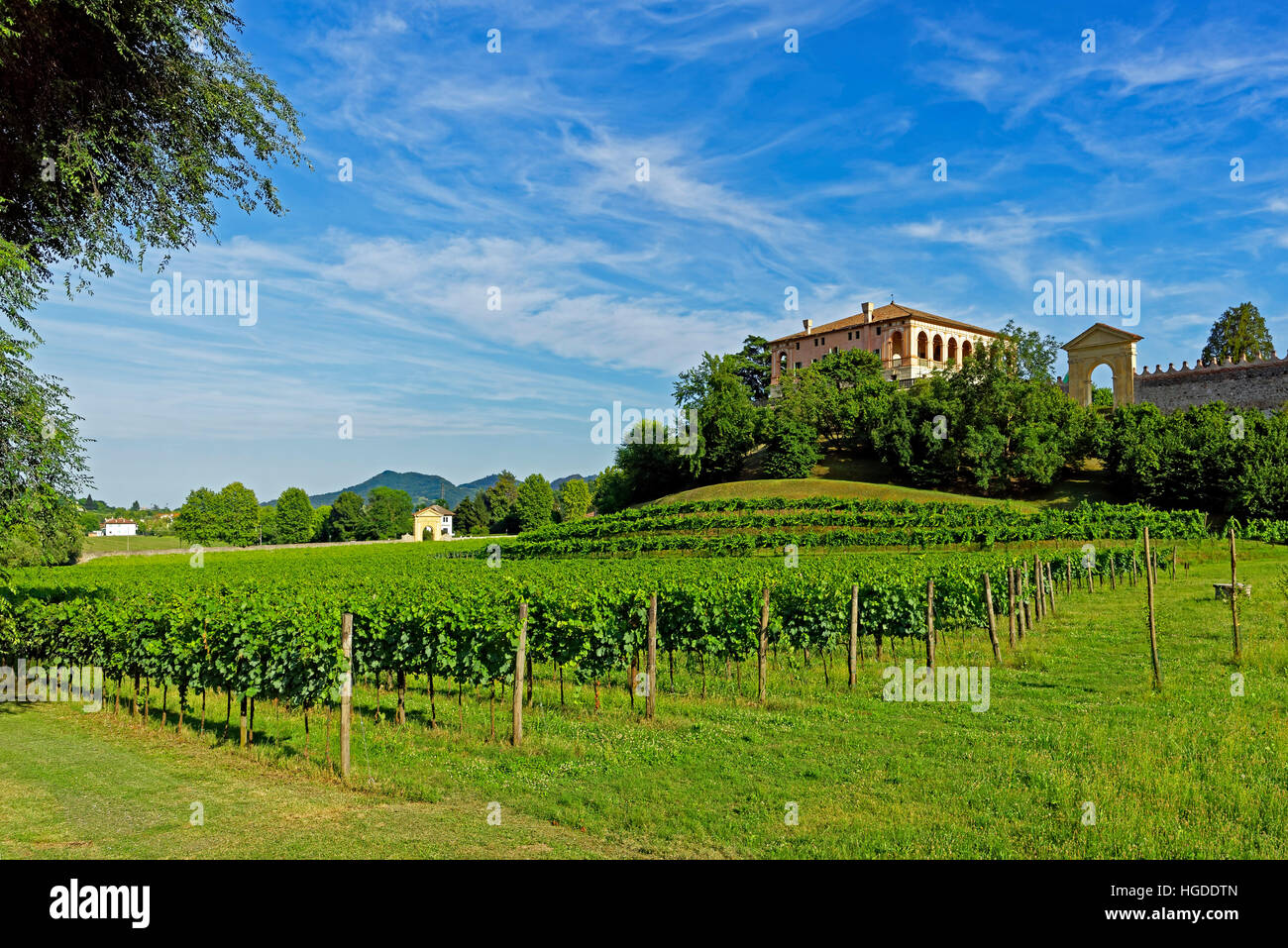 Torreglia, Colli Euganei, die Euganeischen Hügel, Villa dei Vescovi, Landschaft, Landschaft, Weinberge Stockfoto