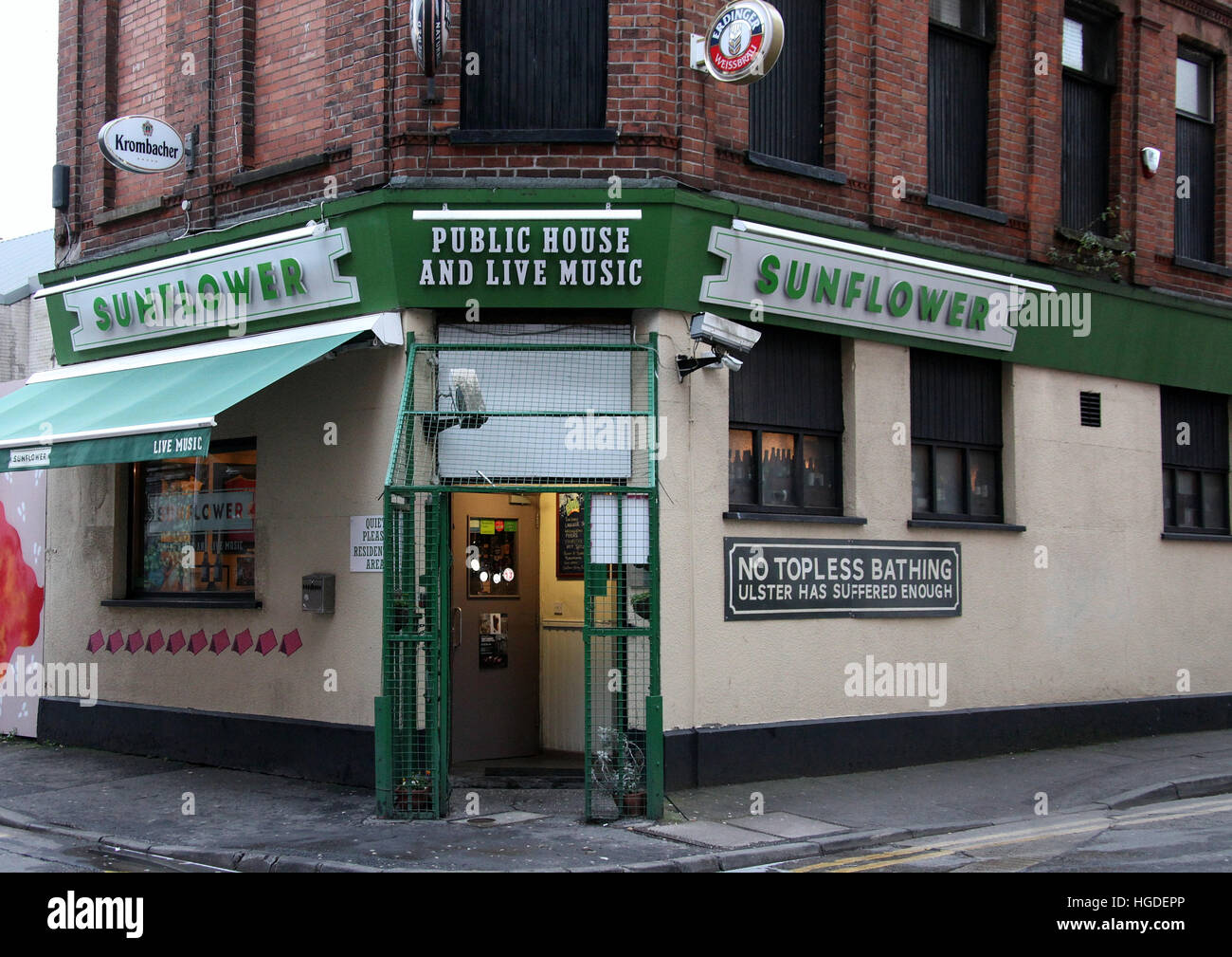 Sonnenblume Pulic Haus im Stadtzentrum von Belfast Stockfoto