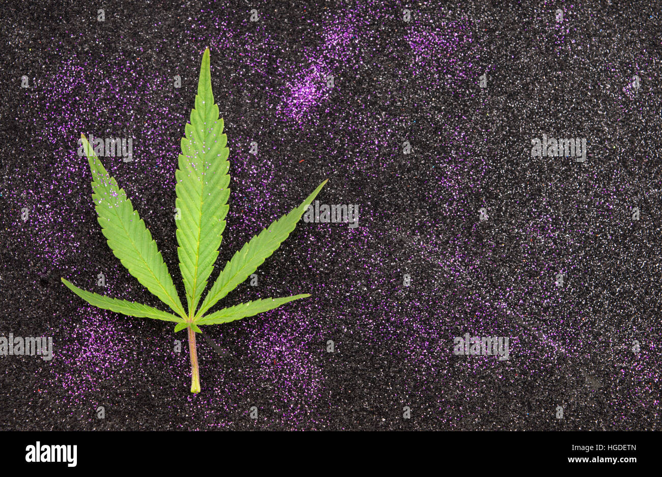 Marihuanablatt auf dunklen Glitzer Hintergrund Stockfoto