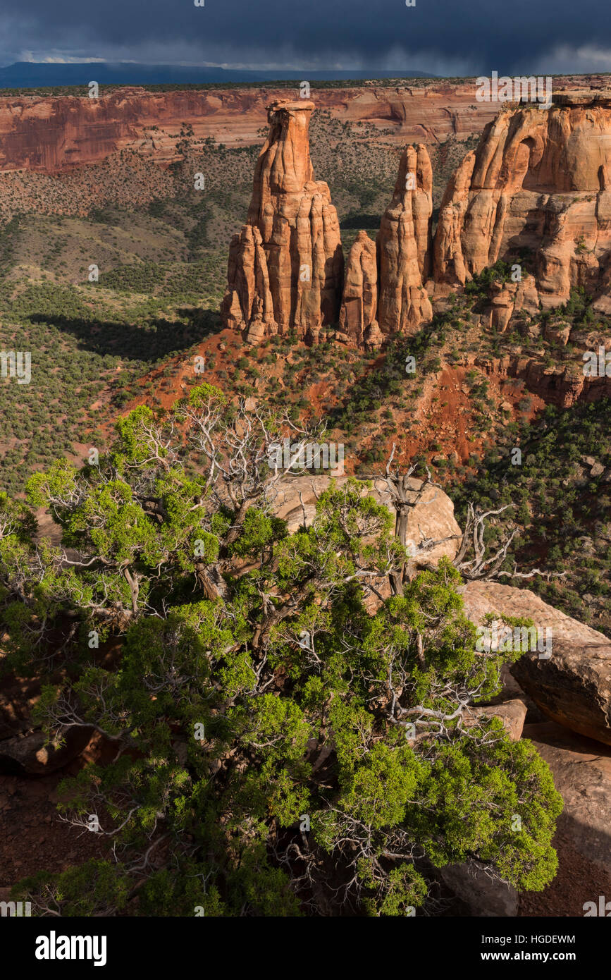 Colorado, Mesa County, Colorado Nationalmonument Stockfoto