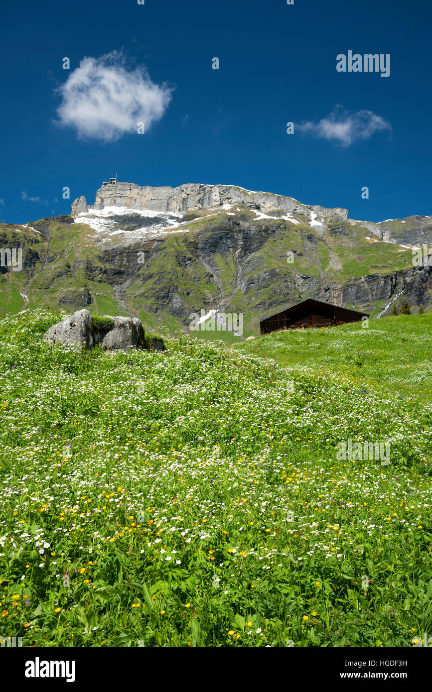 Bern, Berner Oberland, Birg Stockfoto