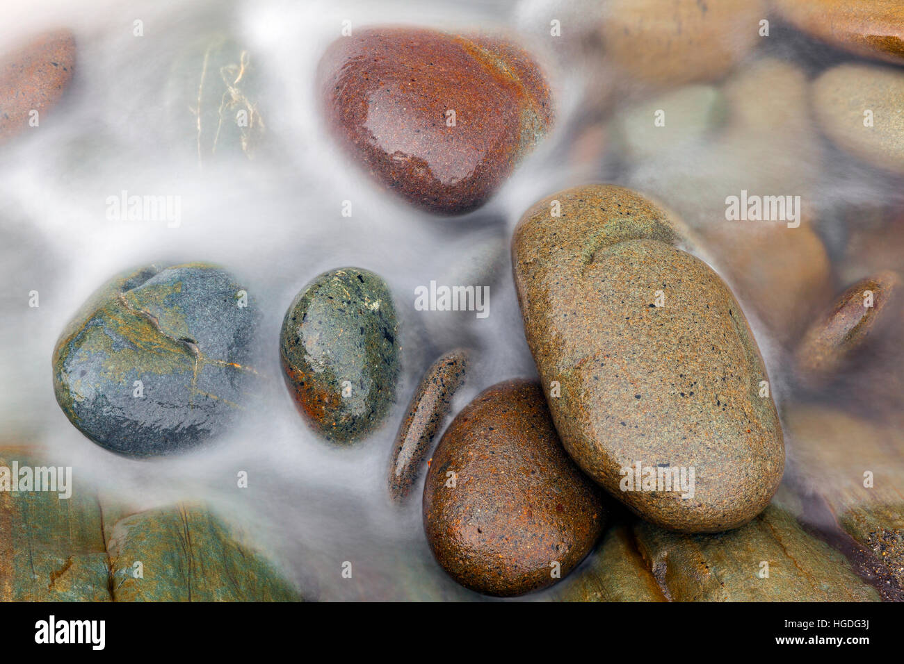 WA11959-00... WASHINGTON - Felsen in einem kleinen Bach am vierten Strand in Olympic Nationalpark. Stockfoto