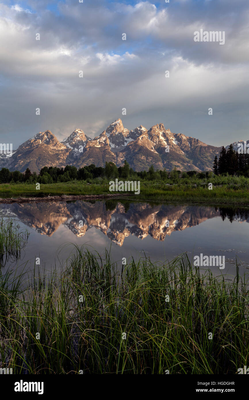 WY01992-00... WYOMING - reflektiert die Teton Range in der Snake River von Schwabacher Landung im Grand Teton National Park gesehen. Stockfoto