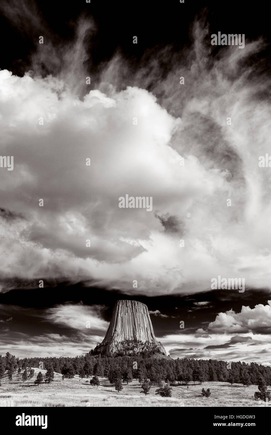 WY02258-07... WYOMING - Devils Tower von Joyner Ridge-roten Betten Weges in Devils Tower National Monument betrachtet. Stockfoto