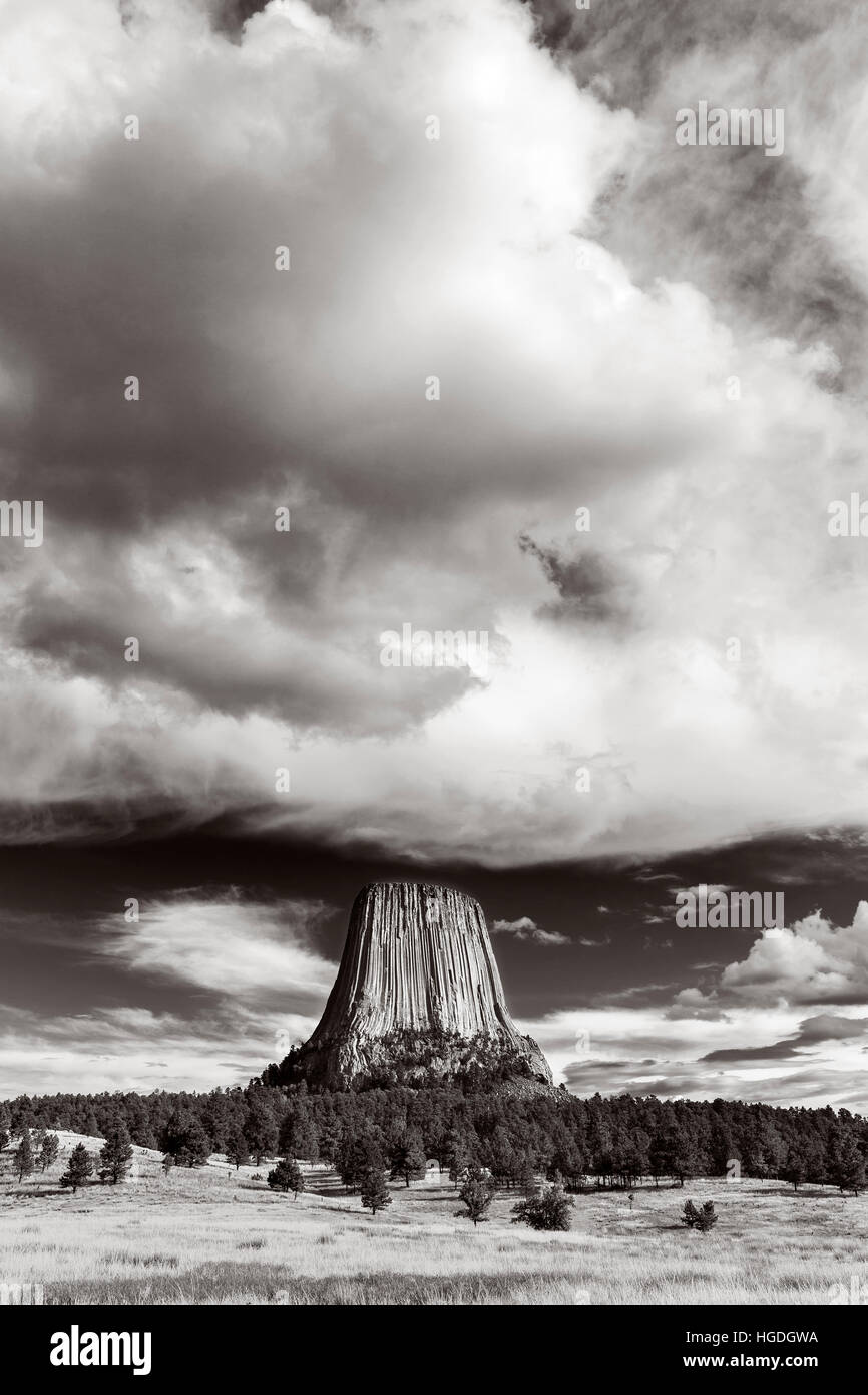 WY02259-07... WYOMING - Devils Tower von Joyner Ridge-roten Betten Weges in Devils Tower National Monument betrachtet. Stockfoto