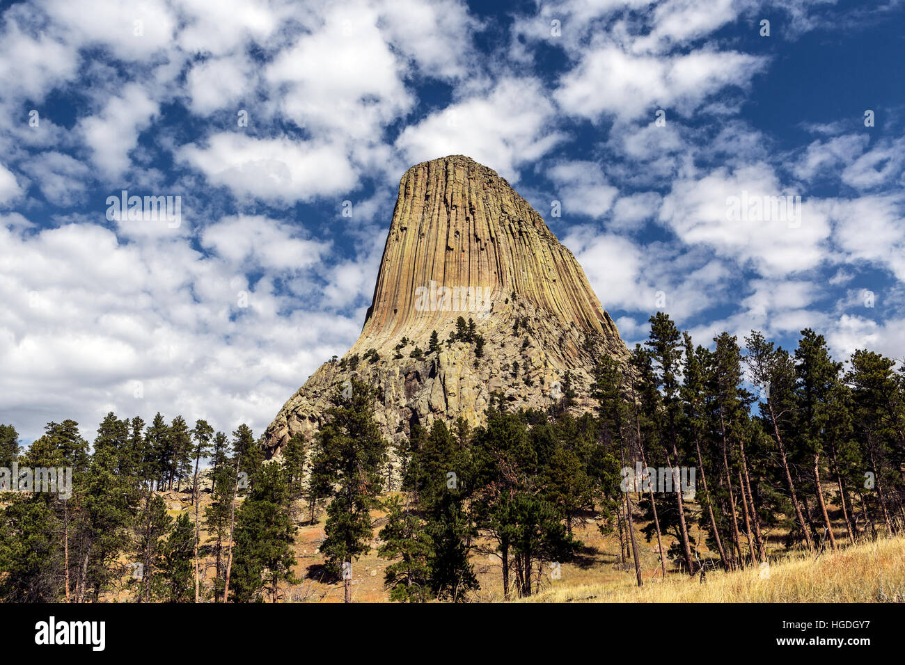 WY02268-00... WYOMING - Ansicht des Devils Tower aus den roten Betten Weg in Devils Tower National Monument Stockfoto