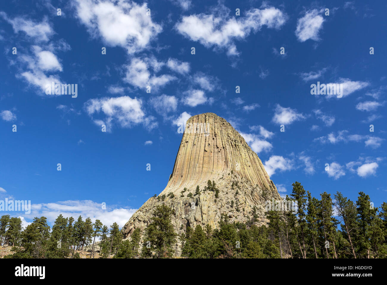WY02269-00... WYOMING - Ansicht des Devils Tower aus den roten Betten Weg in Devils Tower National Monument Stockfoto