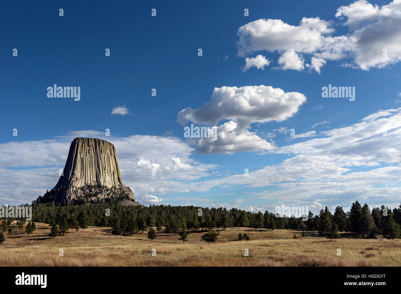 WY02274-00... WYOMING - Devils Tower von Joyner Ridge Loop Trail in Devils Tower National Monument betrachtet. Stockfoto