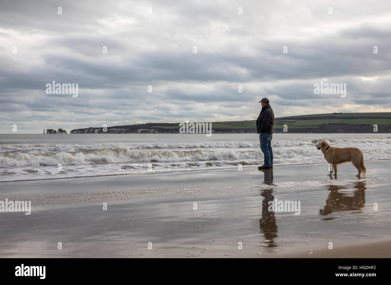 Mensch und Haustier Hund beste Freunde am Strand zu Fuß Stockfoto