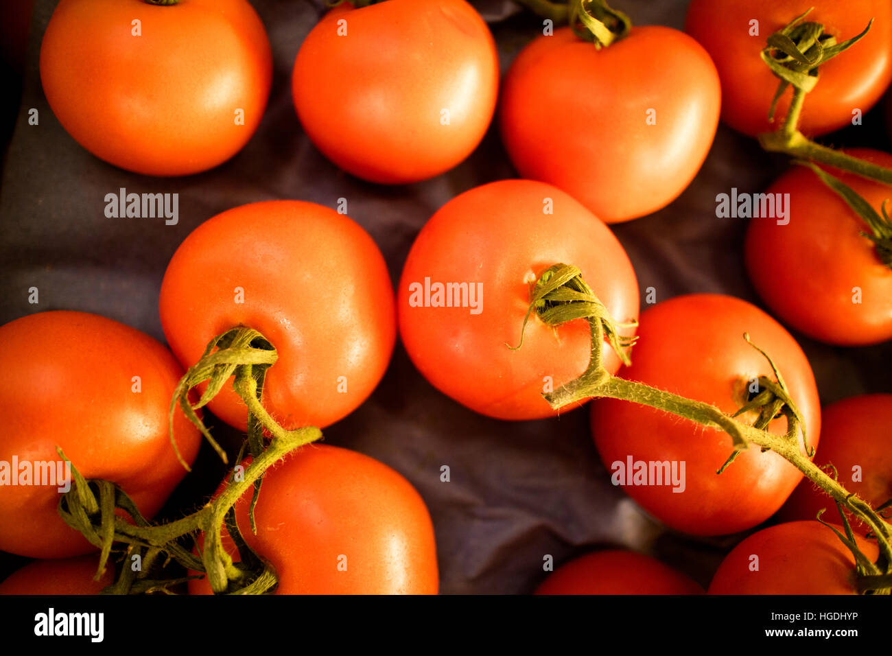 Bio Rebe Reife rote Tomaten am Bauernmarkt Stockfoto