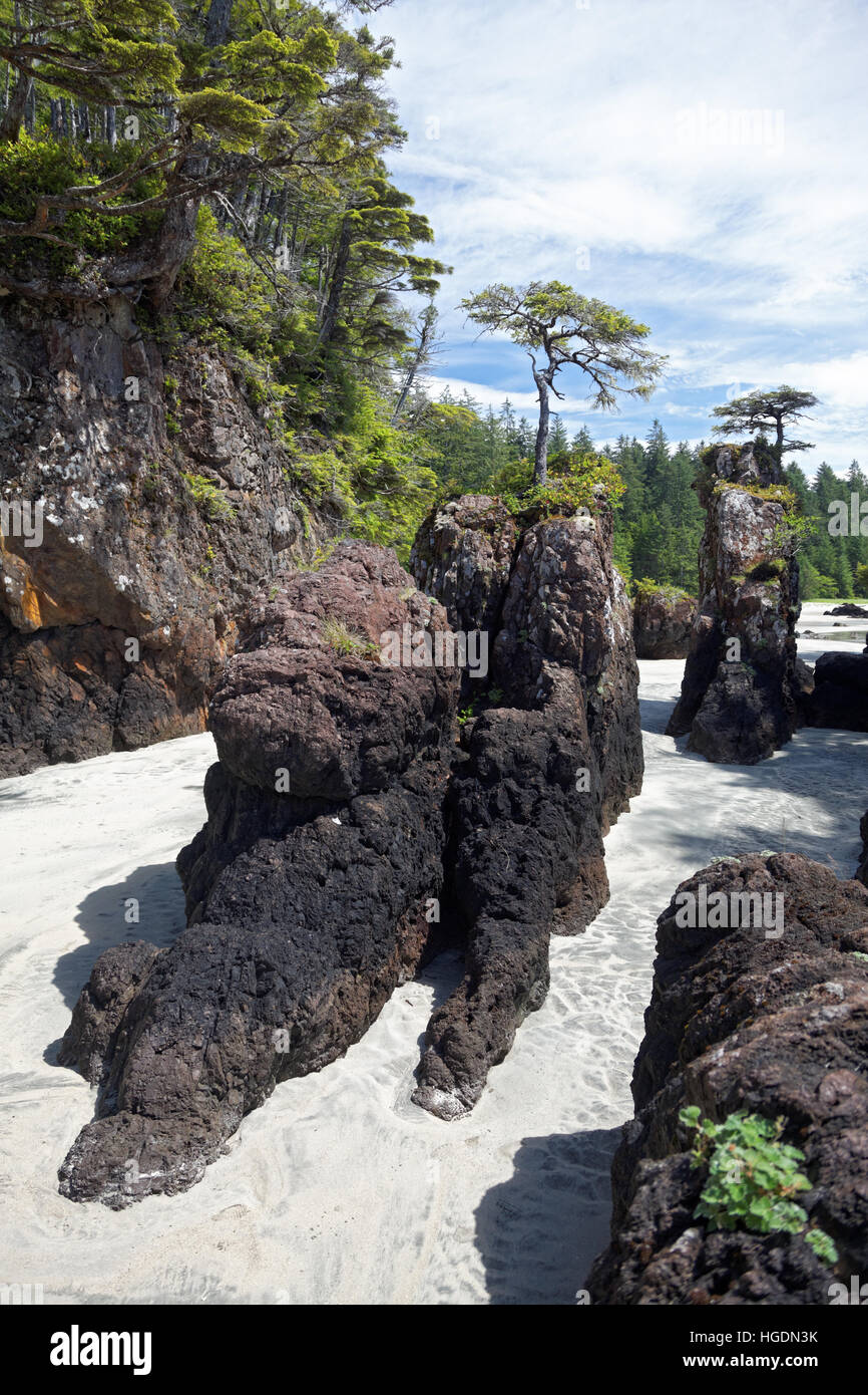 Weißer Sandstrand und felsigen Felsnadeln, San Josef Bay, Cape Scott Provincial Park, Vancouver Island, Kanada Stockfoto