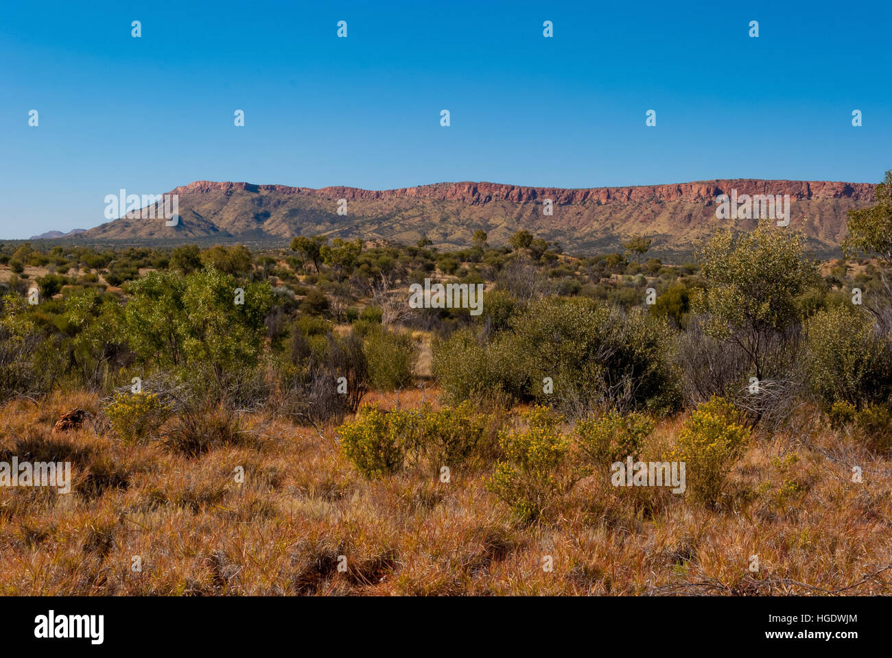 MacDonnell Ranges, Northern Territory, Australien Stockfoto