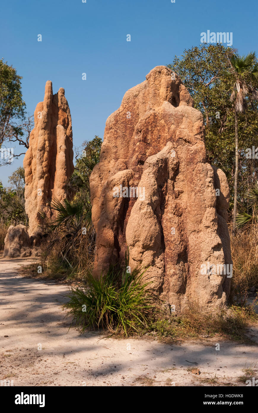 Magnetische Termitenhügel, Litchfield National Park, Australien Stockfoto