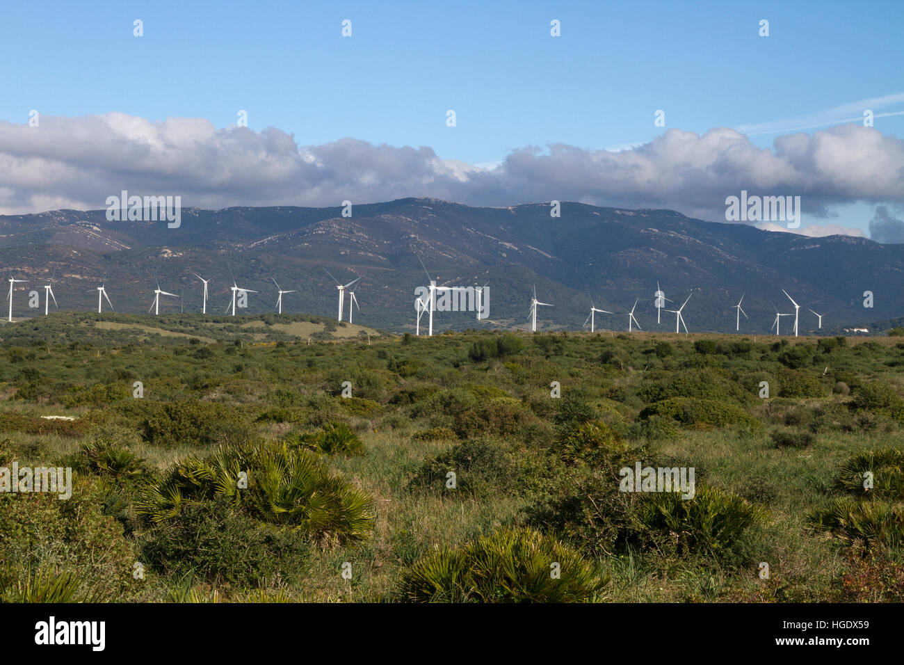 Windparks Stromerzeugung Energie Turbinen Andalusien Spanien Stockfoto