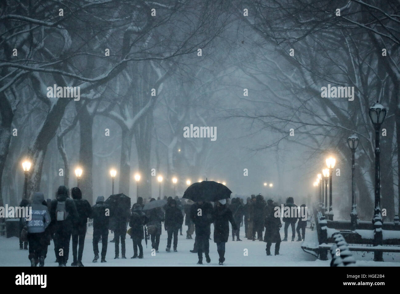 New York, USA. 7. Januar 2017. Die Menschen genießen Schneefall im Central Park in New York, Vereinigte Staaten, 7. Januar 2017. Ein starker Sturm schlagen New York am Samstag. © Wang Ying/Xinhua/Alamy Live-Nachrichten Stockfoto
