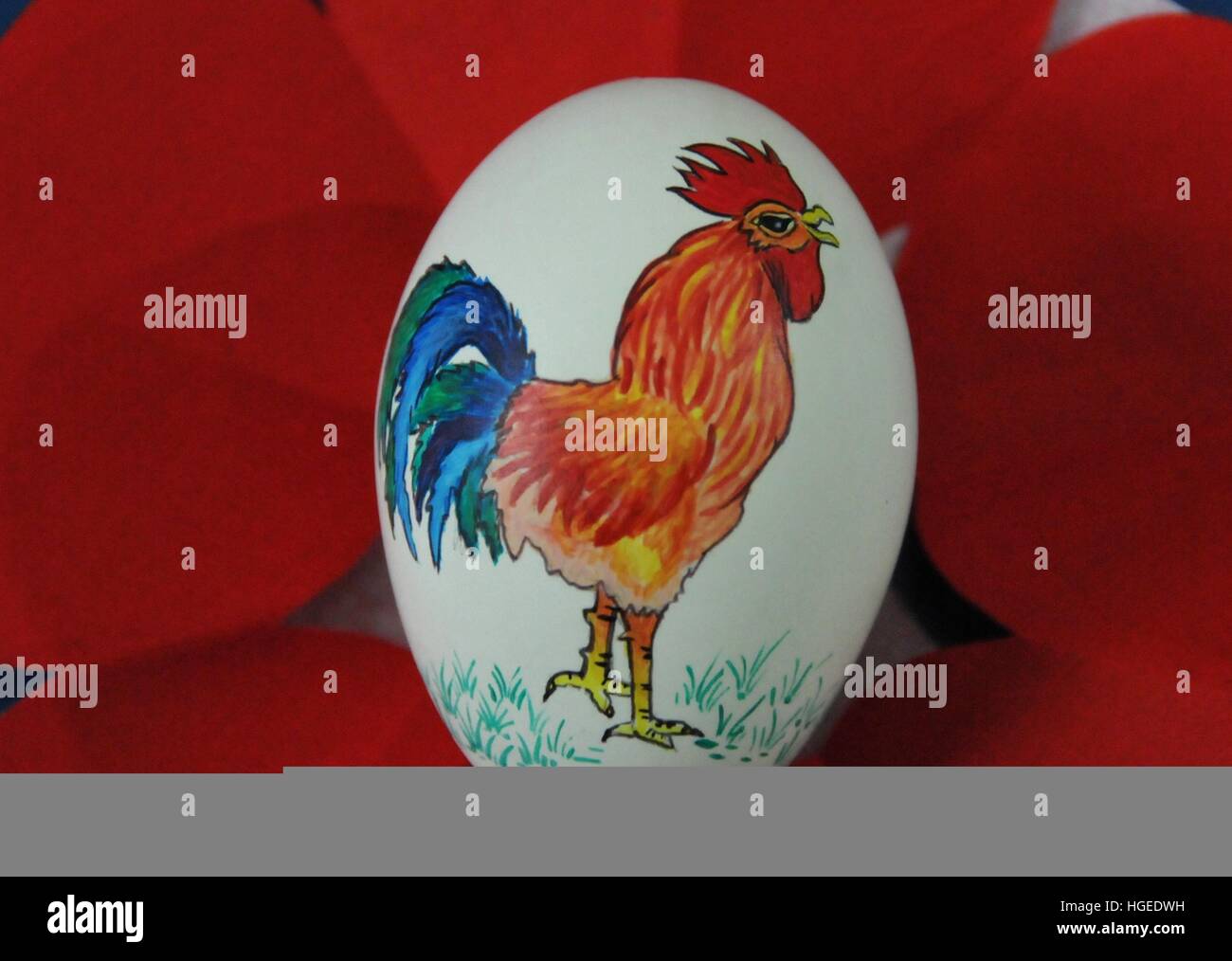 Anyan, Anyan, China. 7. Januar 2017. Anyang, CHINA-Januar 7 2017: (nur zur redaktionellen Verwendung. CHINA aus) die bemalte Eierschale. Ventilator Xiaolei, Primarlehrerin, malt Muster der Hahn auf Eierschale in Neihuang County, Anyang City, Zentral-China Henan Provinz, 7. Januar 2017, Kennzeichnung der kommenden Frühlingsfest des Jahr des Hahnes. © SIPA Asien/ZUMA Draht/Alamy Live-Nachrichten Stockfoto