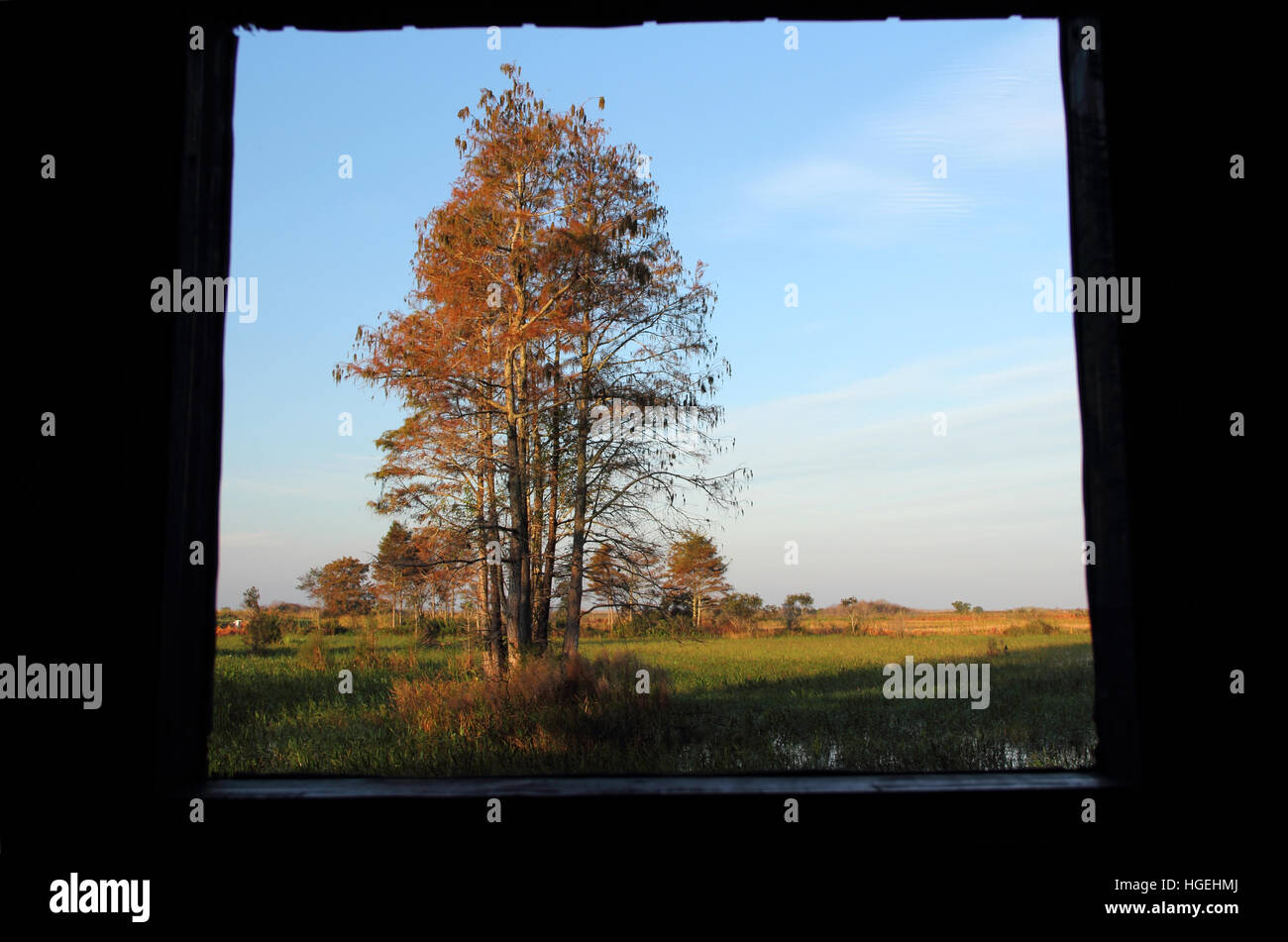 Florida Everglades, Loxahatchee National Wildlife Refuge, Süd-Florida Stockfoto