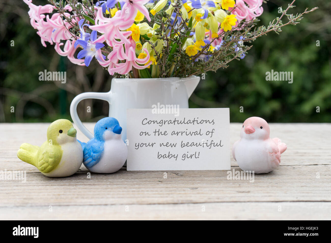 Glückwunschkarte zur Geburt mit Vögel Stockfoto