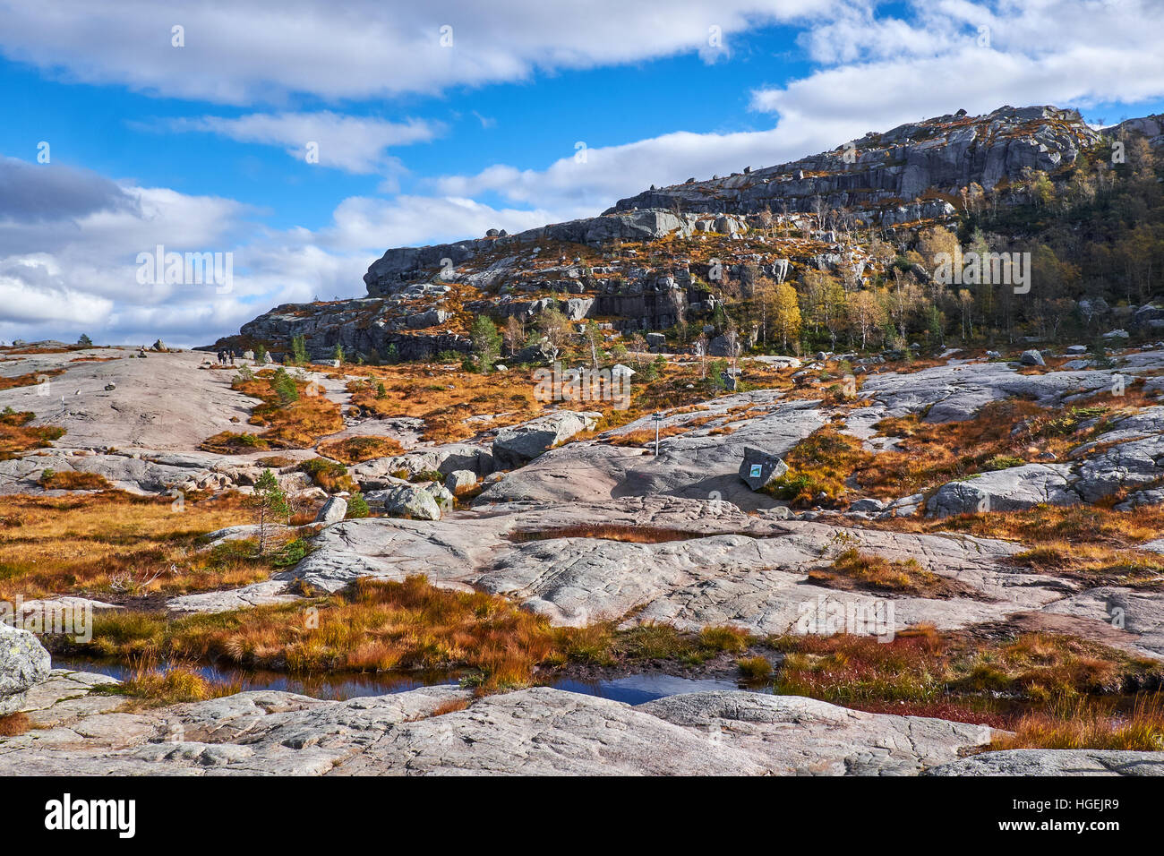 Große flache Ebene, in felsigem Gelände auf dem Weg zum Preikestolen in Norwegen, mit Felsen, einem Wasserstrom und Grasbüschel mit groben gelben Grases Stockfoto