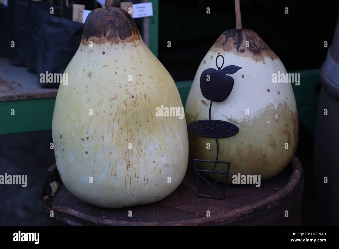 Große Früchte. Eine Art von Melonen. Thai Melone. Eine Art von großen Gurken. Stockfoto