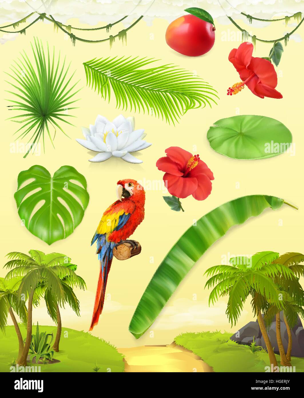 Dschungel. Palmen, Bananen, Mango, Papagei, Seerose, Hibiskus. Satz von Blättern und Blüten. Tropische Pflanzen. 3D Vektor Icon-set Stock Vektor