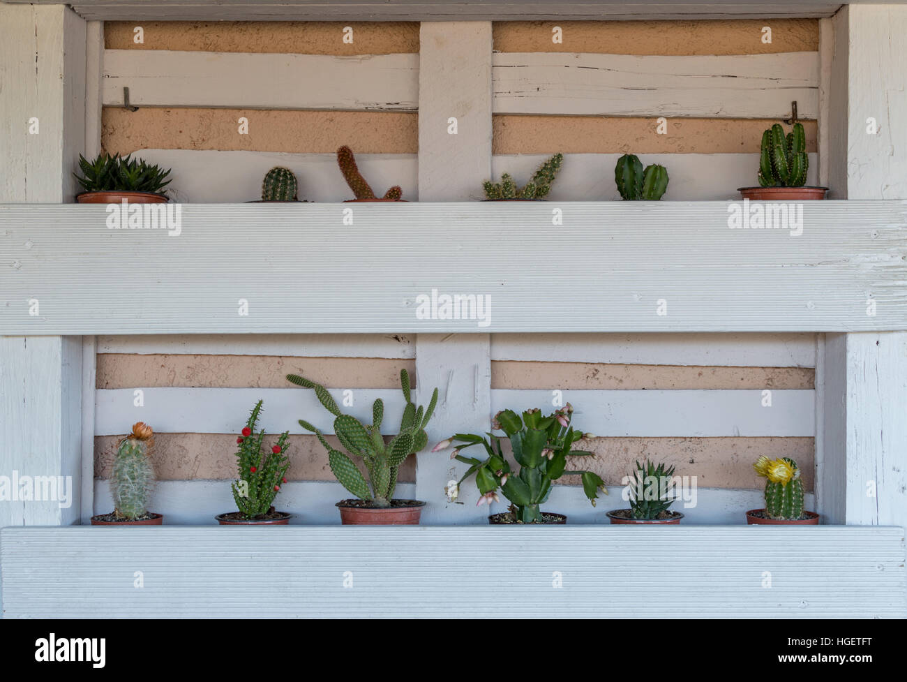 Garten Idee mit einer Palette Stockfoto