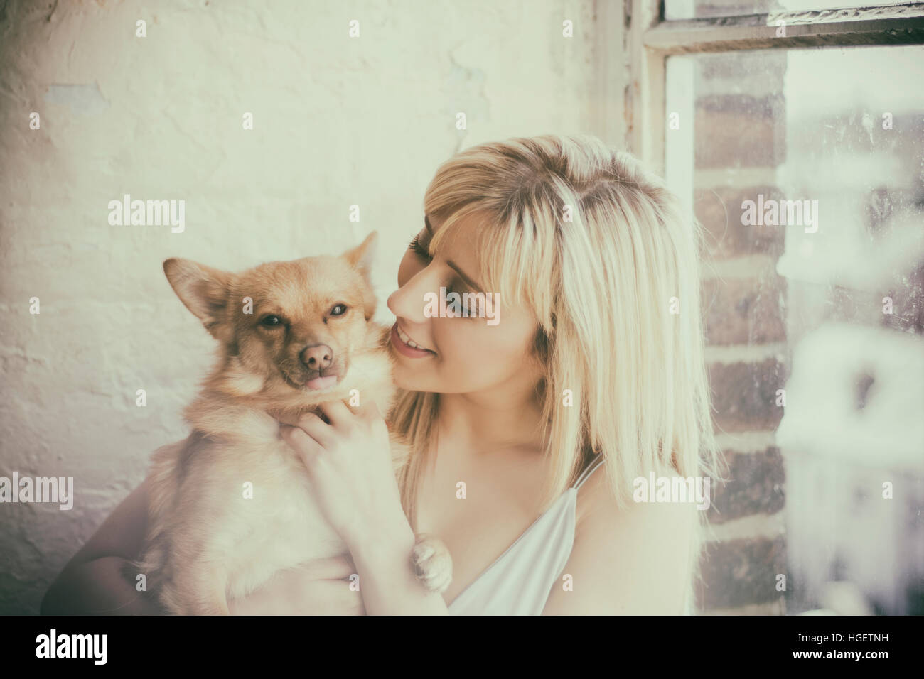 Glückliche junge Frau mit ihrem Hund am Fenster Stockfoto