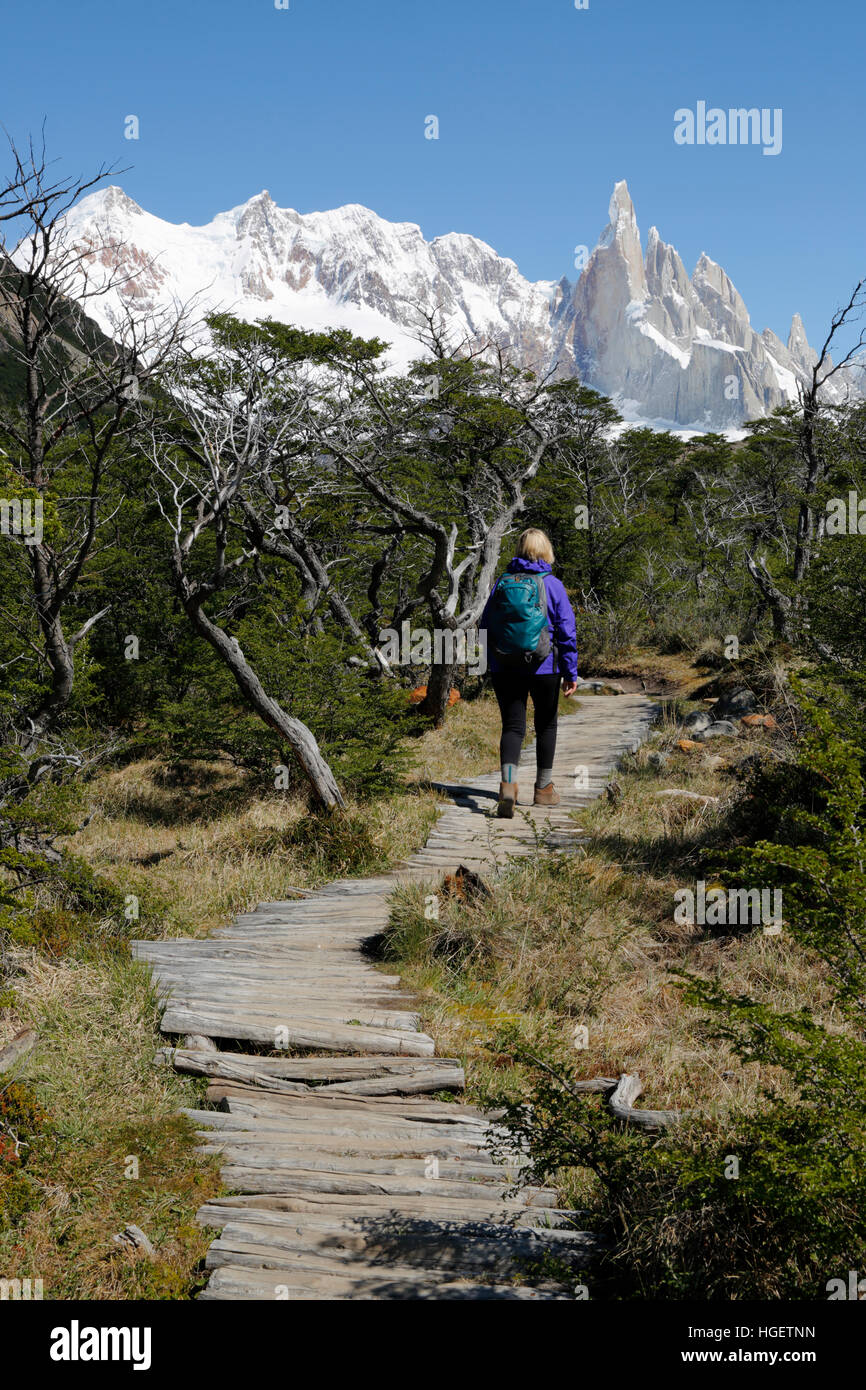Wanderer auf dem Weg zur Laguna Torre mit Blick auf den Cerro Torre, El Chalten, Patagonien, Argentinien, Südamerika Stockfoto
