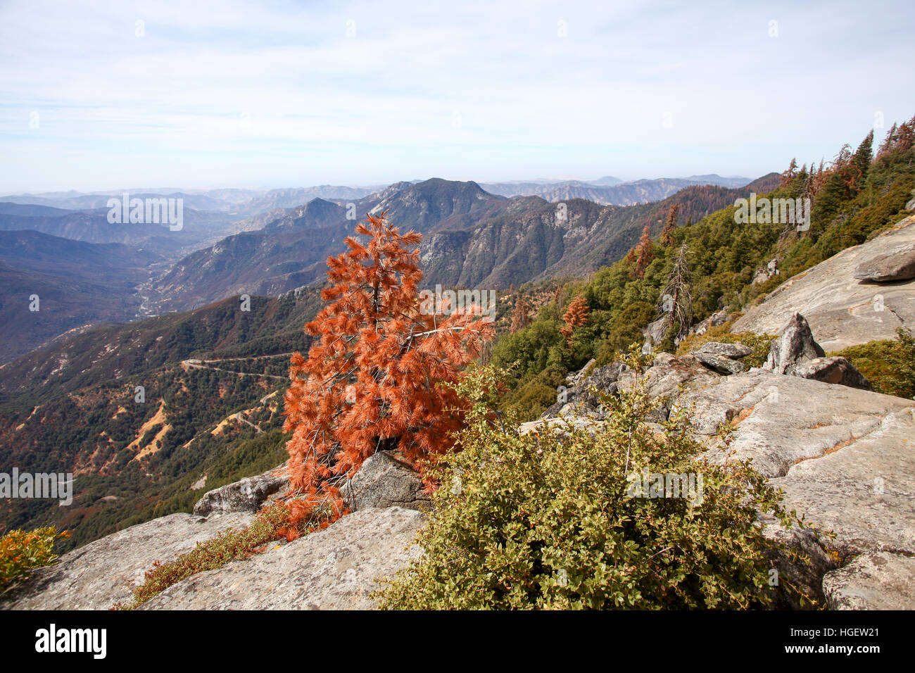 Sequoia und Kings-Nationalpark, Kalifornien, USA Stockfoto
