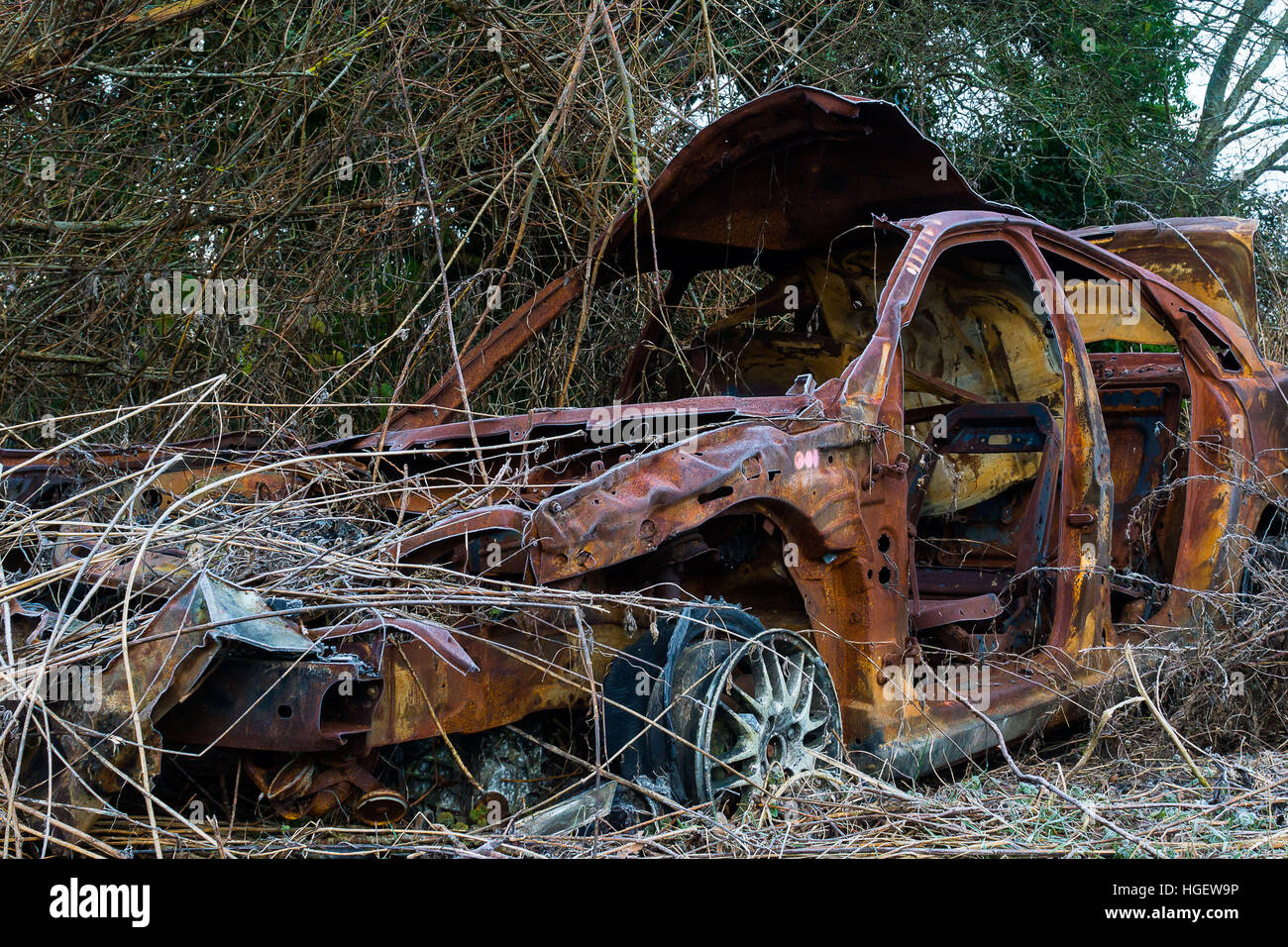 Goodwood Motorschaltung Stockfoto