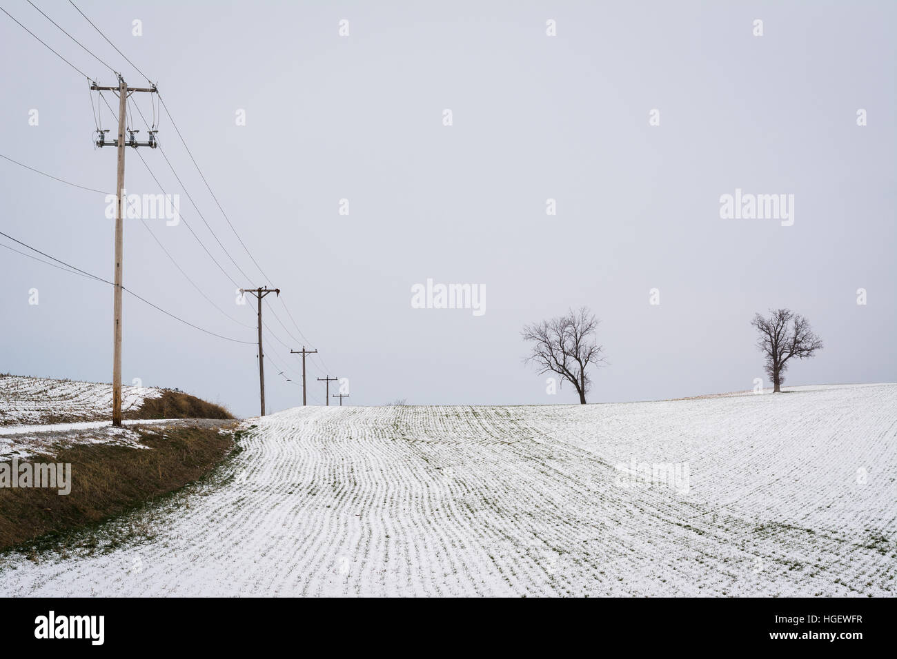 Schneebedeckte Feld-Hof, in der Nähe von Spring Grove, Pennsylvania. Stockfoto