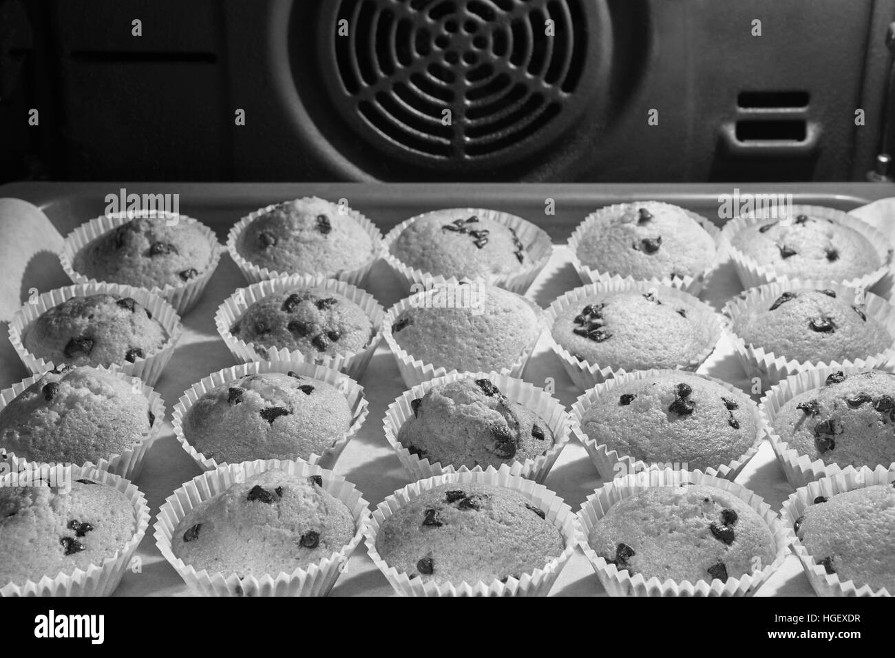 Muffins mit Schokolade in einem Ofen mit Ventilator. Horizontale Stockfoto