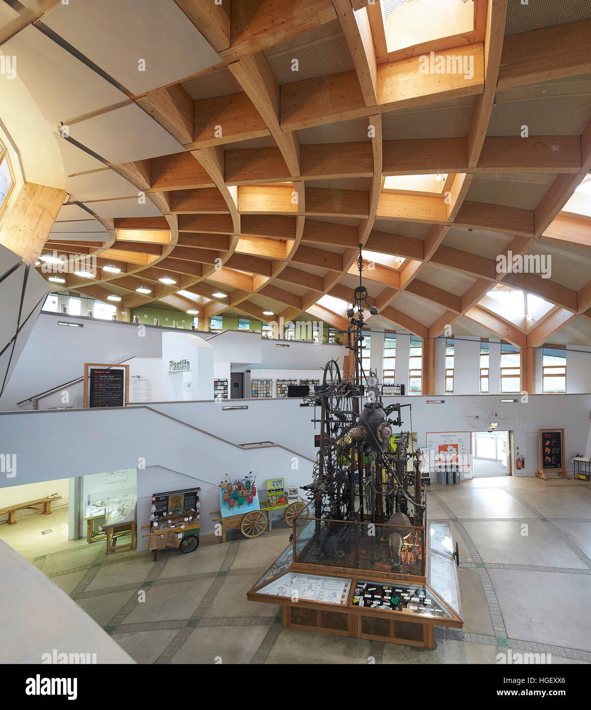Brettschichtholz-Struktur der Ausstellungsfläche. Eden Project, Bodelva, Vereinigtes Königreich. Architekt: Grimshaw, 2016. Stockfoto