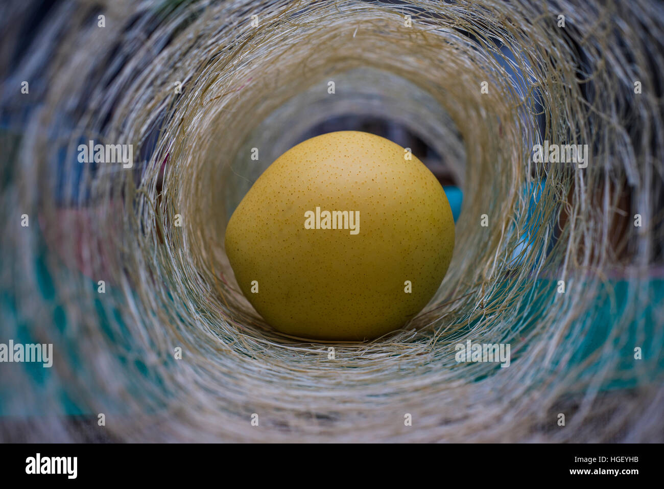 Apfel mit Schutzverpackungen isoliert auf weißem Hintergrund Apfel in den Mantel zum Schutz Stockfoto