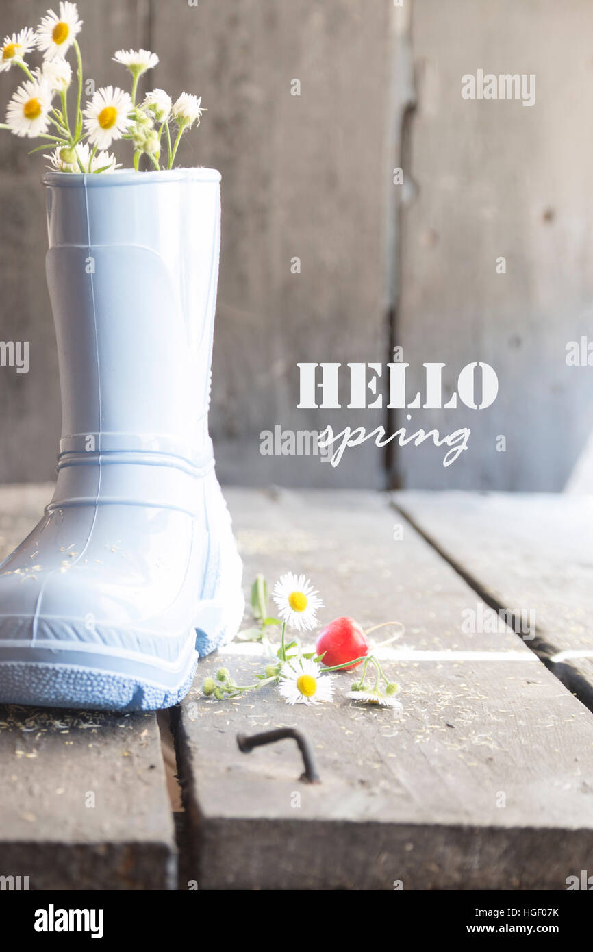 Hallo Frühling, Daisy und Stiefel auf einem grauen Vintage Tisch, Stockfoto