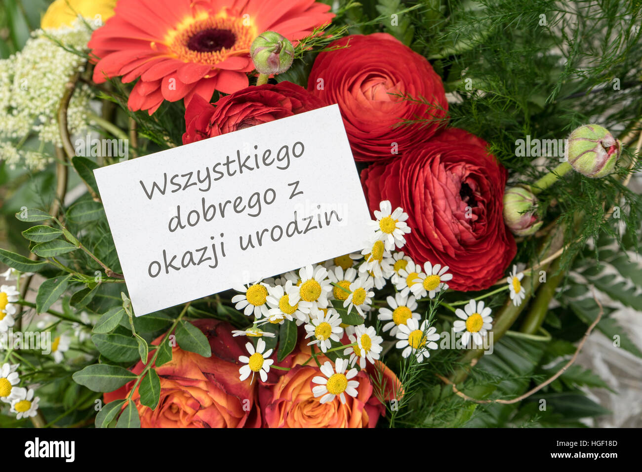 Polnische Grußkarte Geburtstag mit roten Blüten Stockfoto