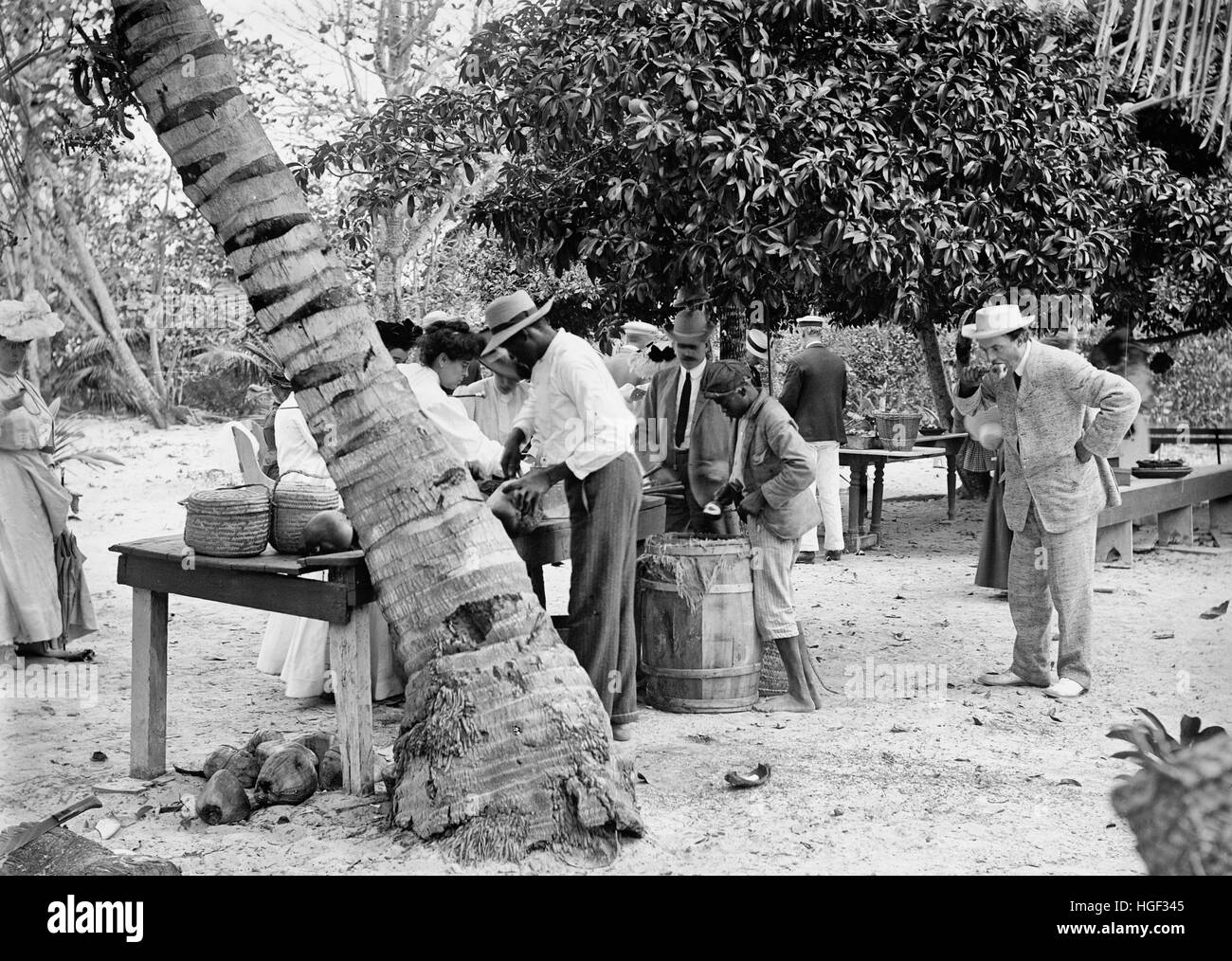 Kokosnüsse, Bahamas, Essen ca. 1906 Stockfoto