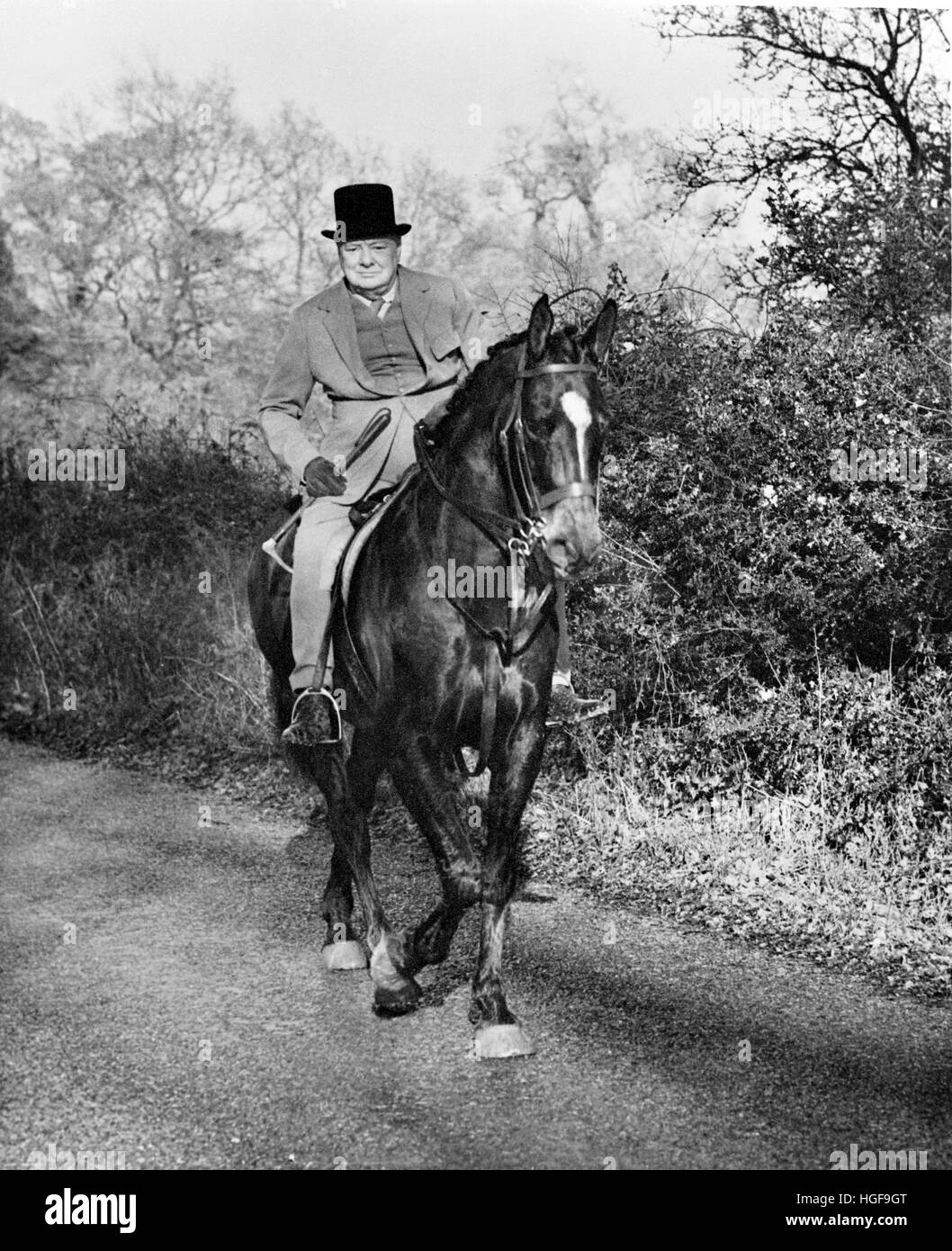 Winston Churchill auf dem Pferd zurück, während Sie mit dem Old Surrey und Burstow Hunt in der Nähe von Chartwell unterwegs sind. November 1948 Stockfoto