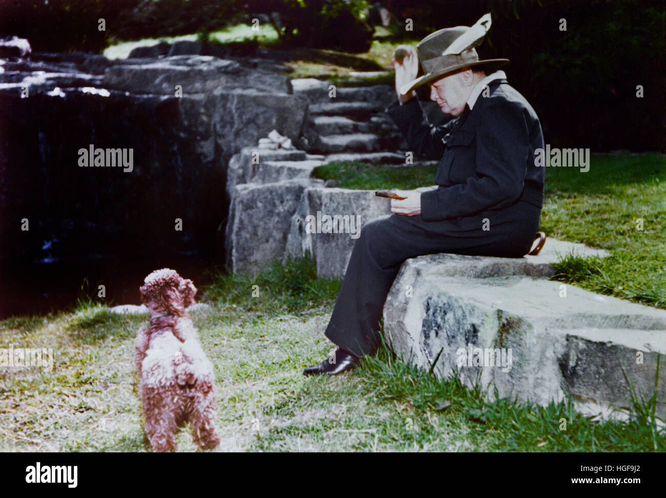 Farbfoto von Winston Churchill mit seinem Pudel Rufus auf dem Gelände von Chartwell.1950. Stockfoto
