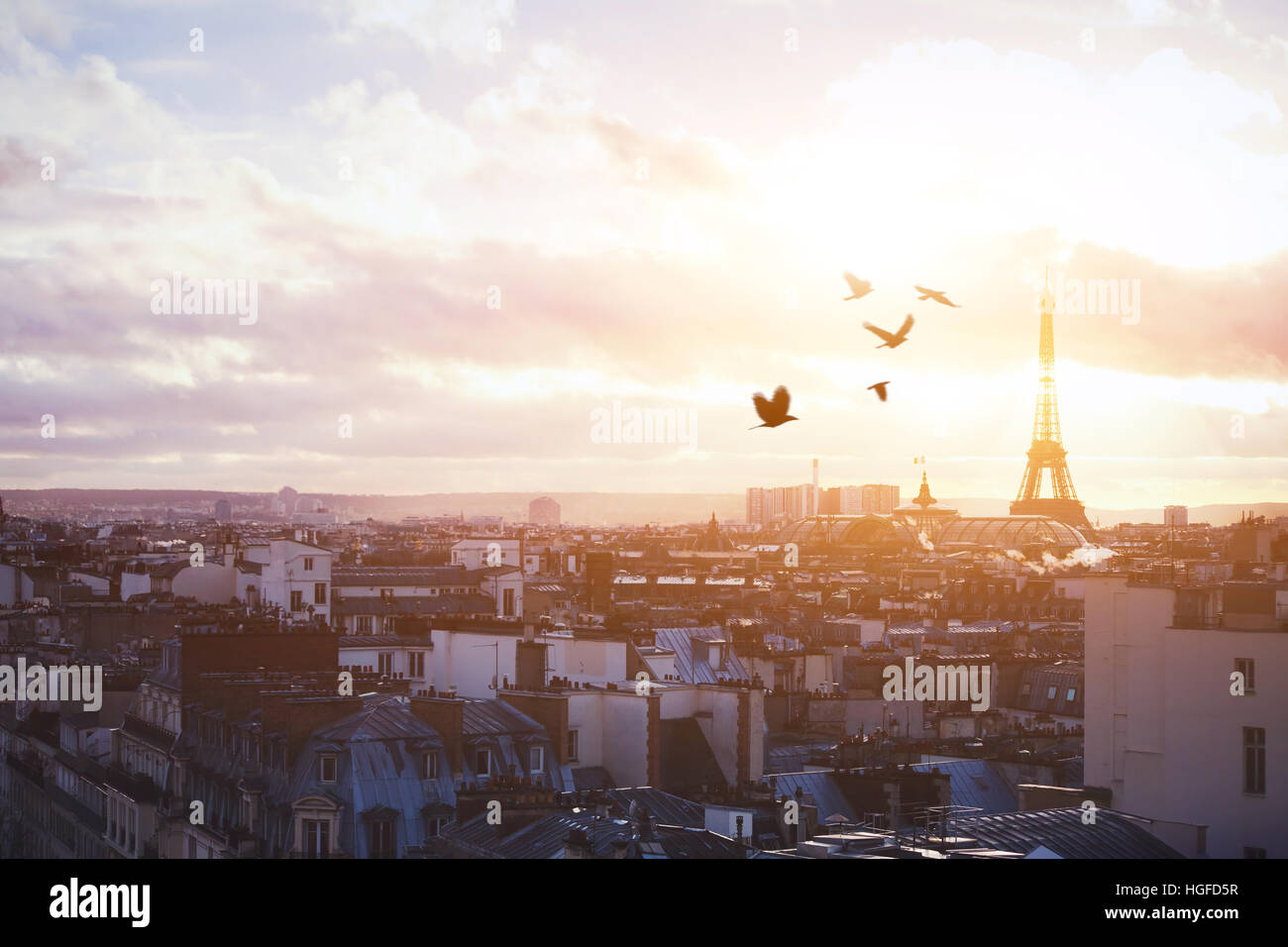 Schöner Panoramablick auf Paris, die Gebäude und die Vögel im Himmel Stockfoto