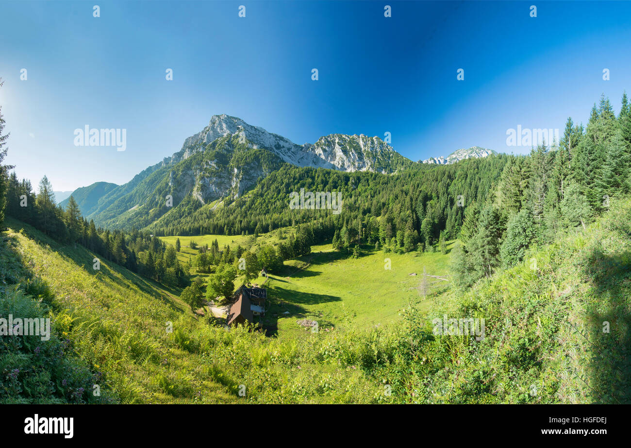 Schauen Sie über die Steiner-Alp mit dem Hochstaufen im Hintergrund Stockfoto