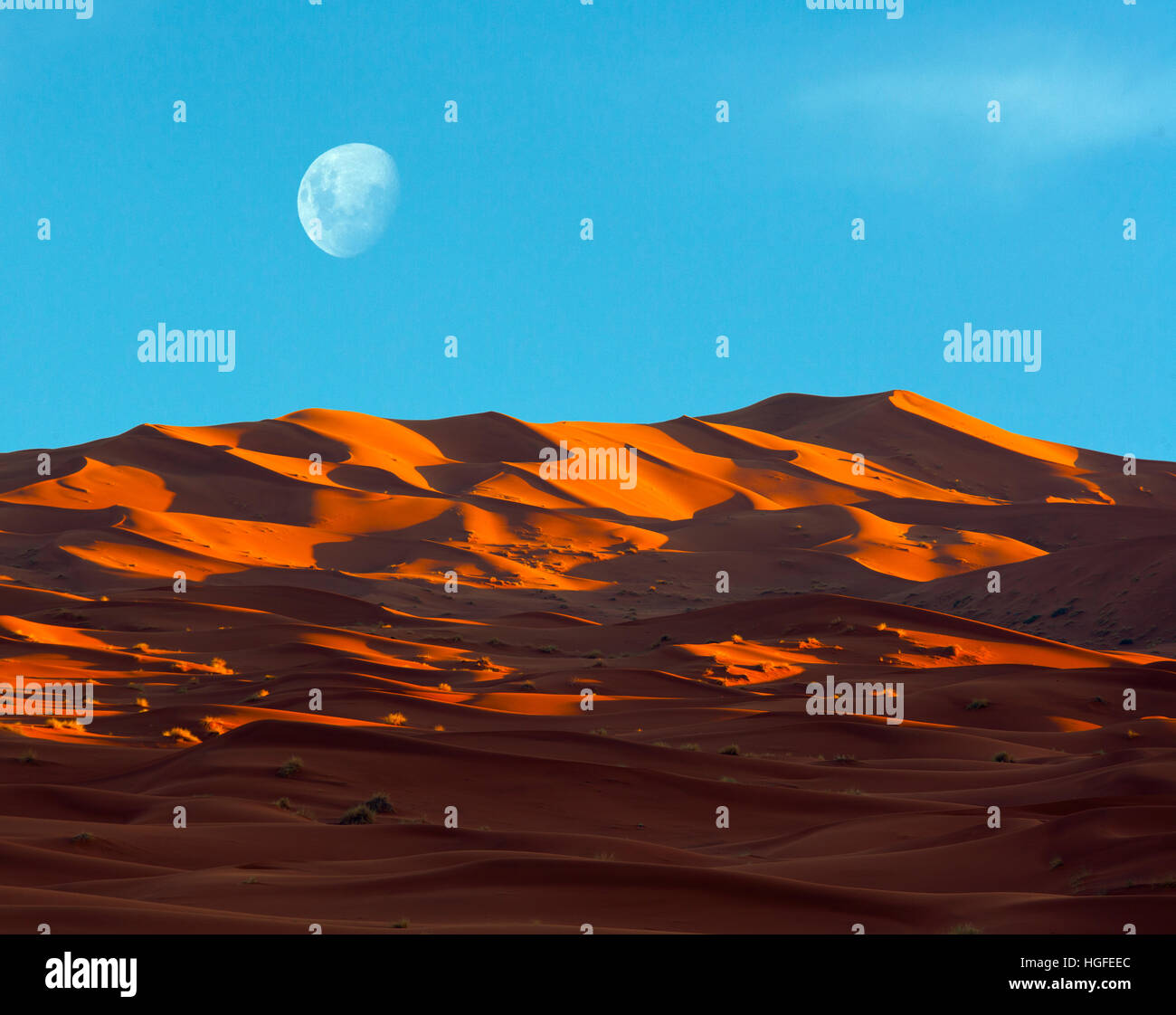 Am frühen Morgen auf den Erg Chebbi Dünen Sahara Wüste Marokko Nordafrika März Stockfoto