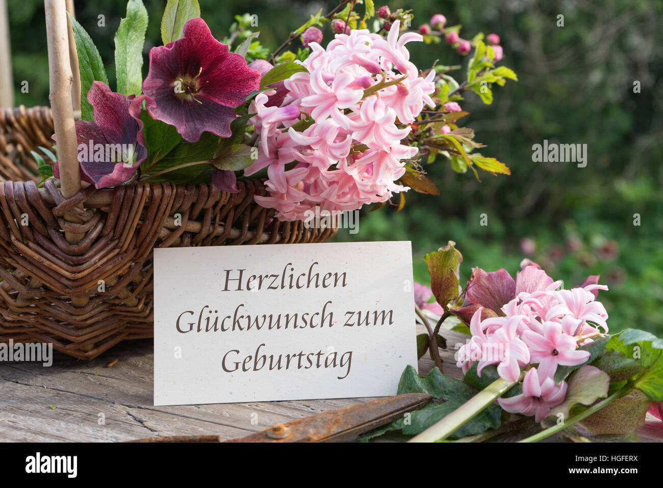 Deutschsprachige Geburtstagskarte mit Hyazinthen und Helleborus Stockfoto