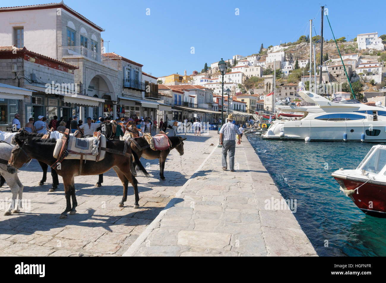 Maultiere, die darauf warten, Transport von Personen und Gepäck, Hydra Stadt, Hydra, Saronische Inseln, Griechenland Stockfoto