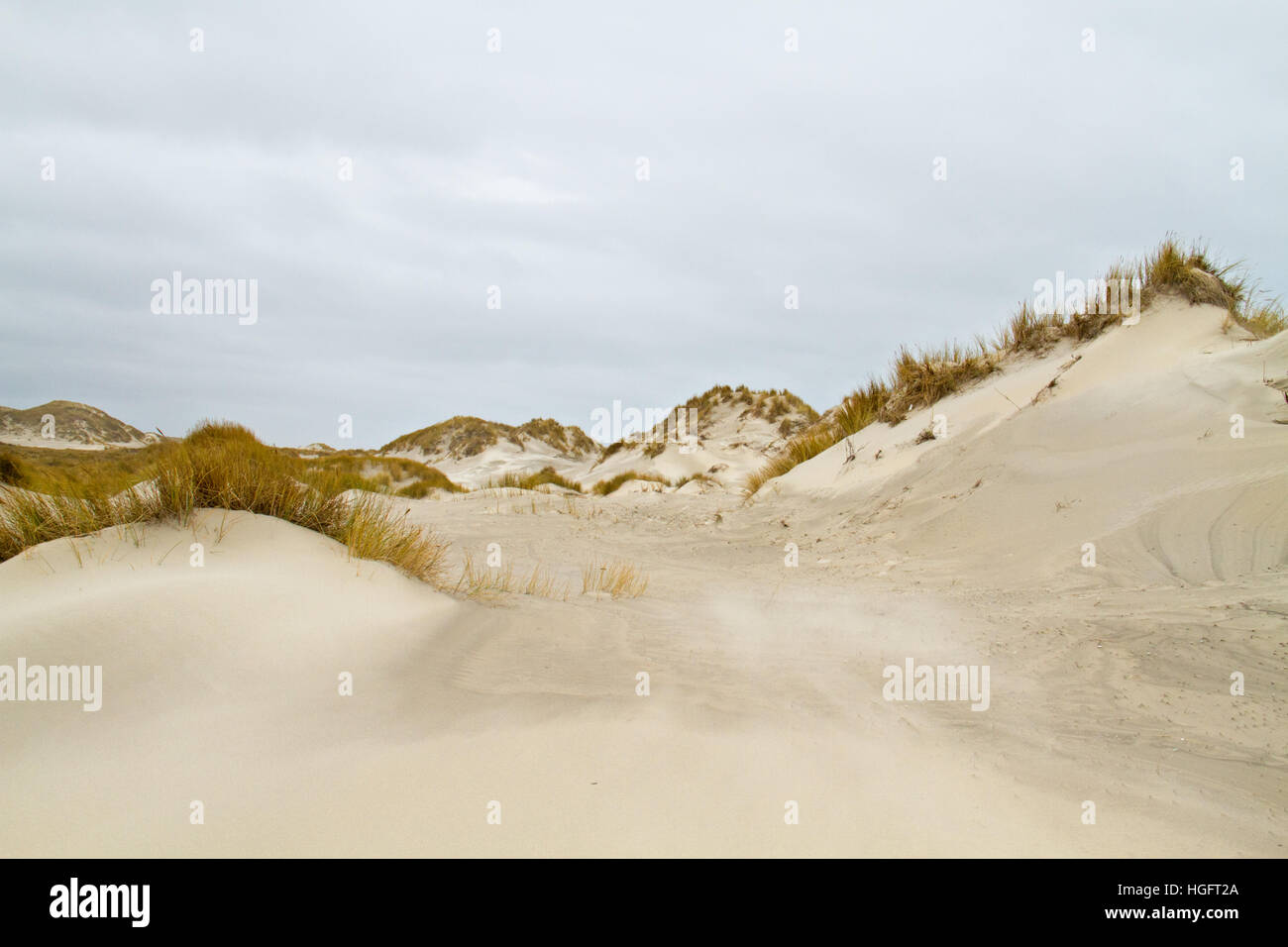 Dünen an einem stürmischen Tag, Sand, vom Wind transportierten Dünengebieten Gras gewachsen Stockfoto