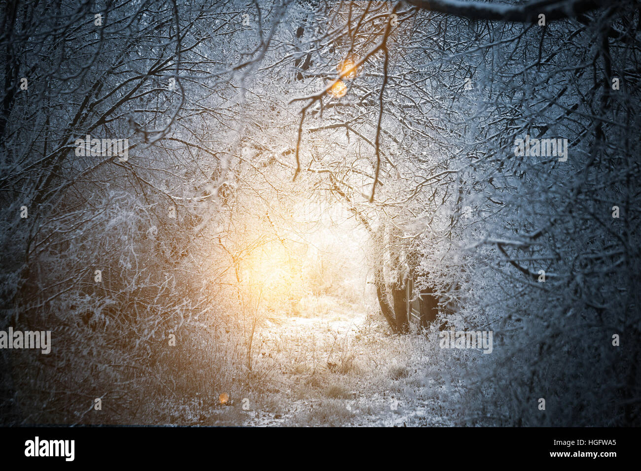 Fantasie-Winter-Waldweg Stockfoto