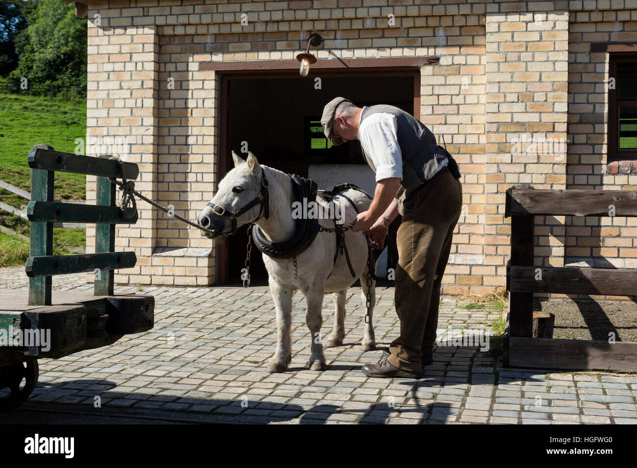 Shetland Pony Beamish Bergbaumuseum England UK UK Stockfoto