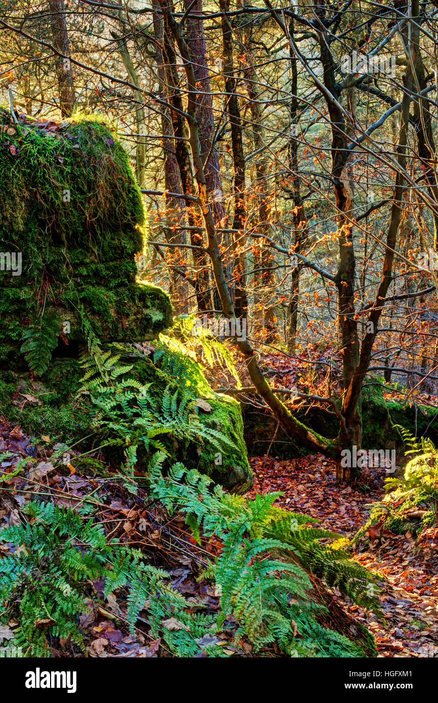 Die grünen Klippe Stockfoto