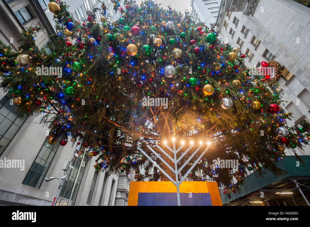 Der New Yorker Börse Weihnachtsbaum thront über ihren Chanukkah Menorah auf Donnerstag, 29. Dezember 2016. (© Richard B. Levine) Stockfoto