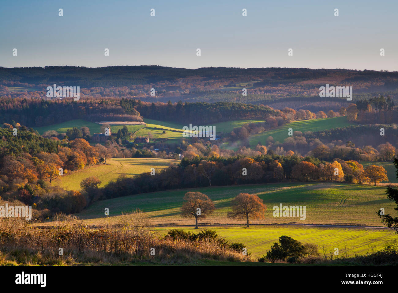 Herbstliche Landschaft Newlands, Surrey, England.Newlands Ecke ist ein bekannter Ausflugsort auf der North Downs Way in der Nähe von Guildford, Surrey.  An einer Hochschule Stockfoto